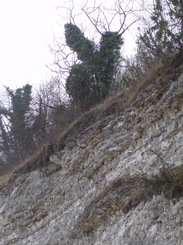 Cailly sur Eure